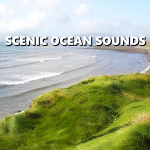 Обложка для Deep Sleep - Modest Twilight Ocean Sound Recording