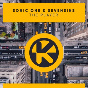 Обложка для Sonic One & Sevensins - The Player