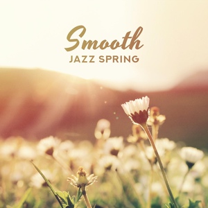 Обложка для Instrumental Jazz Music Group - Spring Lounge