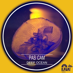 Обложка для Pas Cam - Deep Ocean