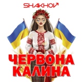 Обложка для SHAKHOV - Червона калина