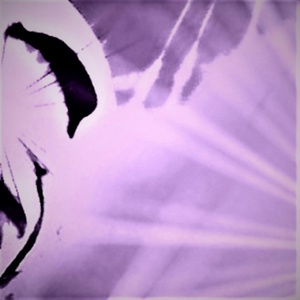 Обложка для Bboy Shmel - Flare