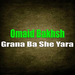 Обложка для Omaid Bakhsh - Farsi Song Sherene Lala