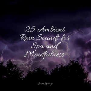 Обложка для Spa, Sleep Meditation Dream Catcher, Music for Absolute Sleep - White Noise Rainy Forest