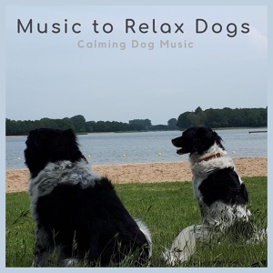 Обложка для Music to Relax Dogs - Calming Dog Music -9