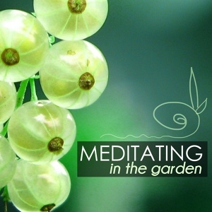 Обложка для Zen Music Garden - Sound Therapy (New Age)