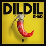 Обложка для Shad - Dil Dil