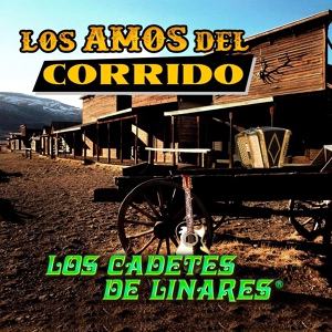 Обложка для Los Cadetes De Linares - Jesus Malverde