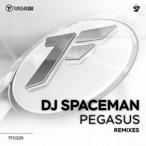 Обложка для DJ Spaceman - Pegasus (Speed DJ Remix)