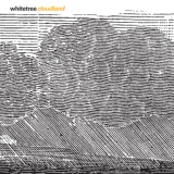 Обложка для Whitetree - Einaudi: Tangerine