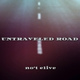 Обложка для No't Elive - Untraveled Road