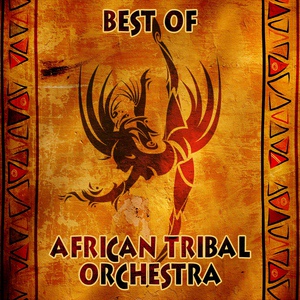 Обложка для African Tribal Orchestra - The Desert of Namibia