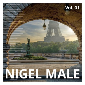 Обложка для Nigel Male - Dubstep Tango