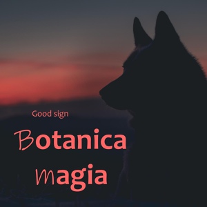 Обложка для Botanica magia - Unknown History