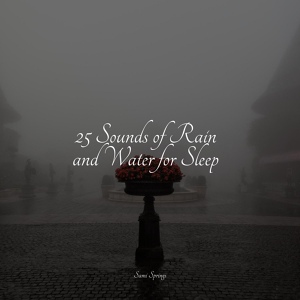 Обложка для Musique Zen Garden, Rain Sounds, Namaste Healing Yoga - Wind, Strong, Forest, Light Debris, Leaves, Rain